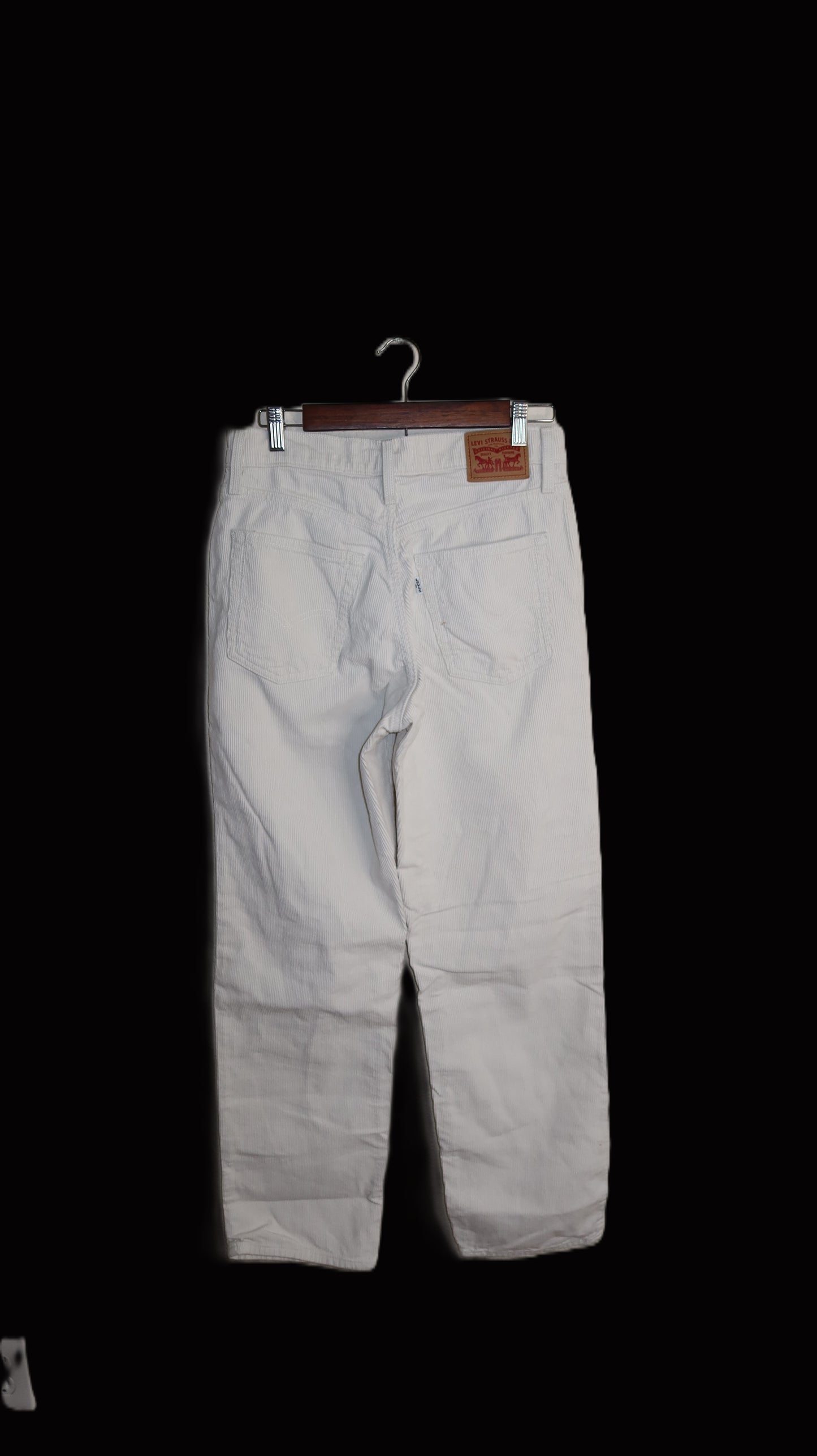 Levis 94 baggy Pants